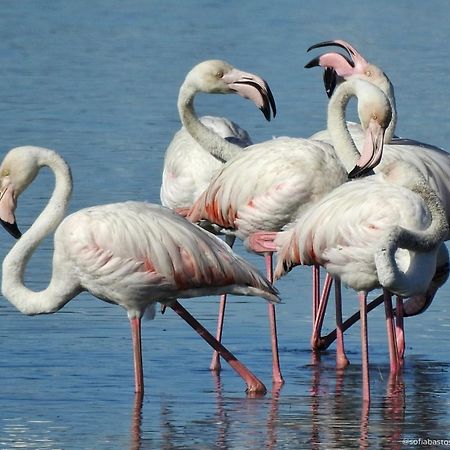 Flamingo'S Bay Hotel Corroios Eksteriør billede